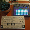 Kurs «Technogroove mit TB-303» Einsteiger Workshop bei klangbild Studios Aarau